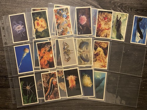 Doncella cigarette cards the - cards,