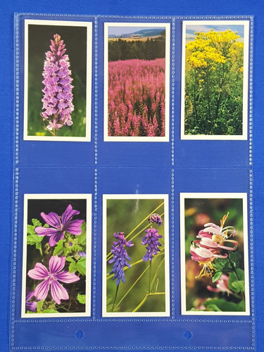 Doncella cigarette cards - cigarette,