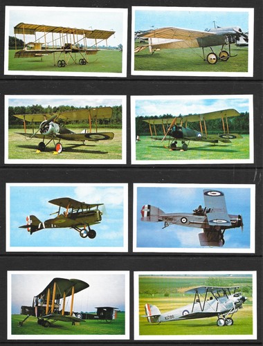 Player doncella cards - j.player,