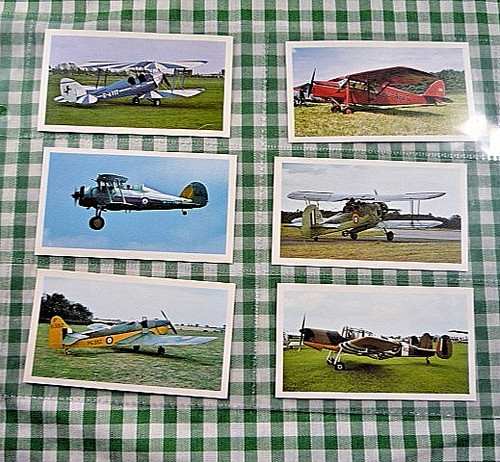 Doncella cards golden - doncella, of