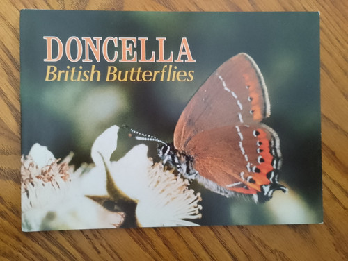 Doncella empty album british - album,